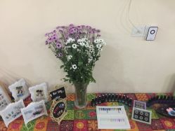 -杉惠素颜美妆皮肤管理中心