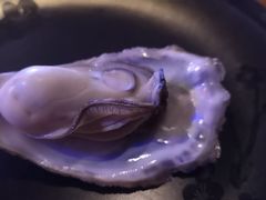 -风暴音乐烧烤串吧