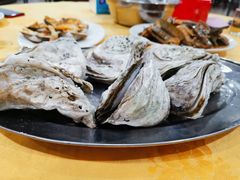 -蚝专家(北滘店)