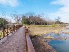 -贡湖湾湿地公园