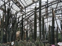 -南山植物园