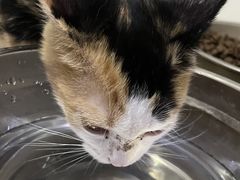 -贝利宠物医院·骨科·眼科·肿瘤转诊中心(南坪诊疗中心)