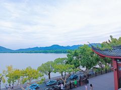 -楼外楼(西湖景区孤山路店)