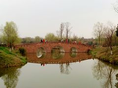 -白鹭湾湿地公园