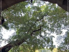 -桂林独秀峰王城景区