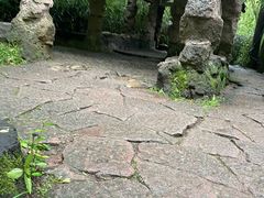 -武夷山风景名胜区-玉女峰