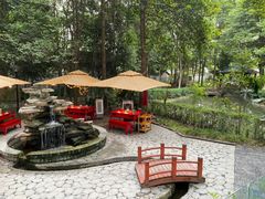 -二荆条·蜀鲜汇城市森林火锅