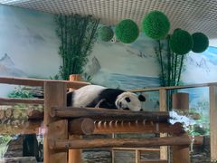 -西霞口神雕山野生动物世界