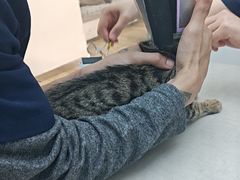 -拜鲁耶动物诊疗中心·宠家动物医院