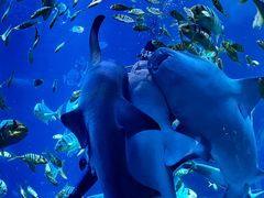 -太平洋海底世界