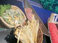 -季季山·云南野生菌火锅(上海首店)