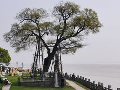 -观潮胜地公园
