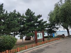 -丁香湖公园