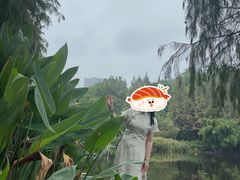 -重庆彩云湖湿地公园