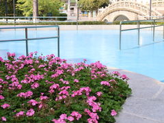 -中山公园