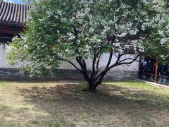 -承德避暑山庄景区