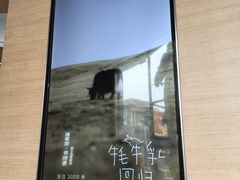 -喜茶(北京五棵松华熙店)