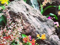 -南通洲际绿博园