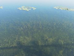 -溱湖国家湿地公园