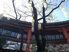 -醉云喃