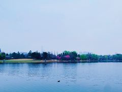 -武汉园博园(武汉自然博物馆)