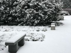 -陕西师范大学(雁塔校区)
