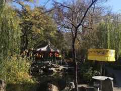 大院风景-白家大院·王府宫廷菜(苏州街店)