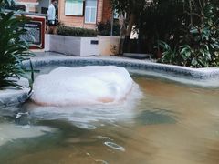 -碧水湾温泉