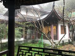 -十八棵（老龙井）御茶园(老龙井店)