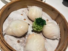 -悦景酒家(罗湖店)