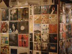 -树懒黑胶唱片店(中山路店)