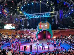 -俄罗斯国家大马戏团