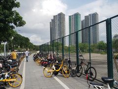 -广州市白云区图书馆