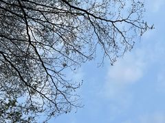 -深圳市当代艺术与城市规划馆