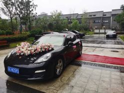 -蚂蚁婚车