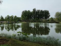 -东郊湿地公园