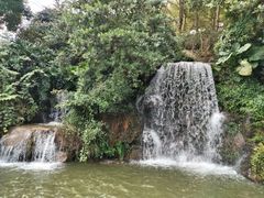 -广州市帽峰山景区