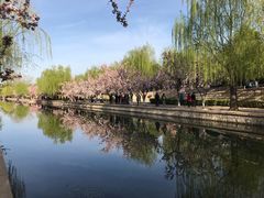 -元大都城垣遗址公园