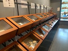 -面包谷Grains n' Beans(九号公馆店)