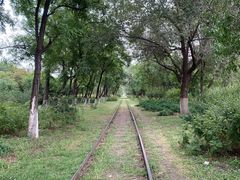 -永定河休闲森林公园