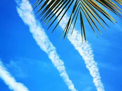 -海口市第一中学