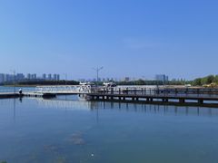 -北龙湖湿地公园