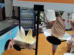 -野人先生现做冰淇淋(北京环宇荟店)