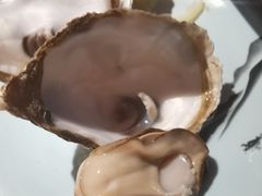 -蚝翅·海鲜粥·烧烤·宁夏滩羊季(玉米楼店)