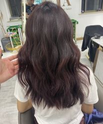 -镁连社·美联社