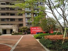 -合肥市南门小学(森林城校区)