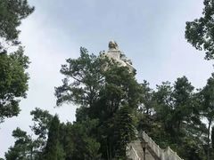 -大金鹰园