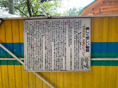 -宫城藏王狐狸村