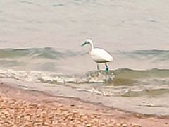 -天鹅湖体育公园