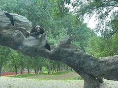 -北京野生动物园